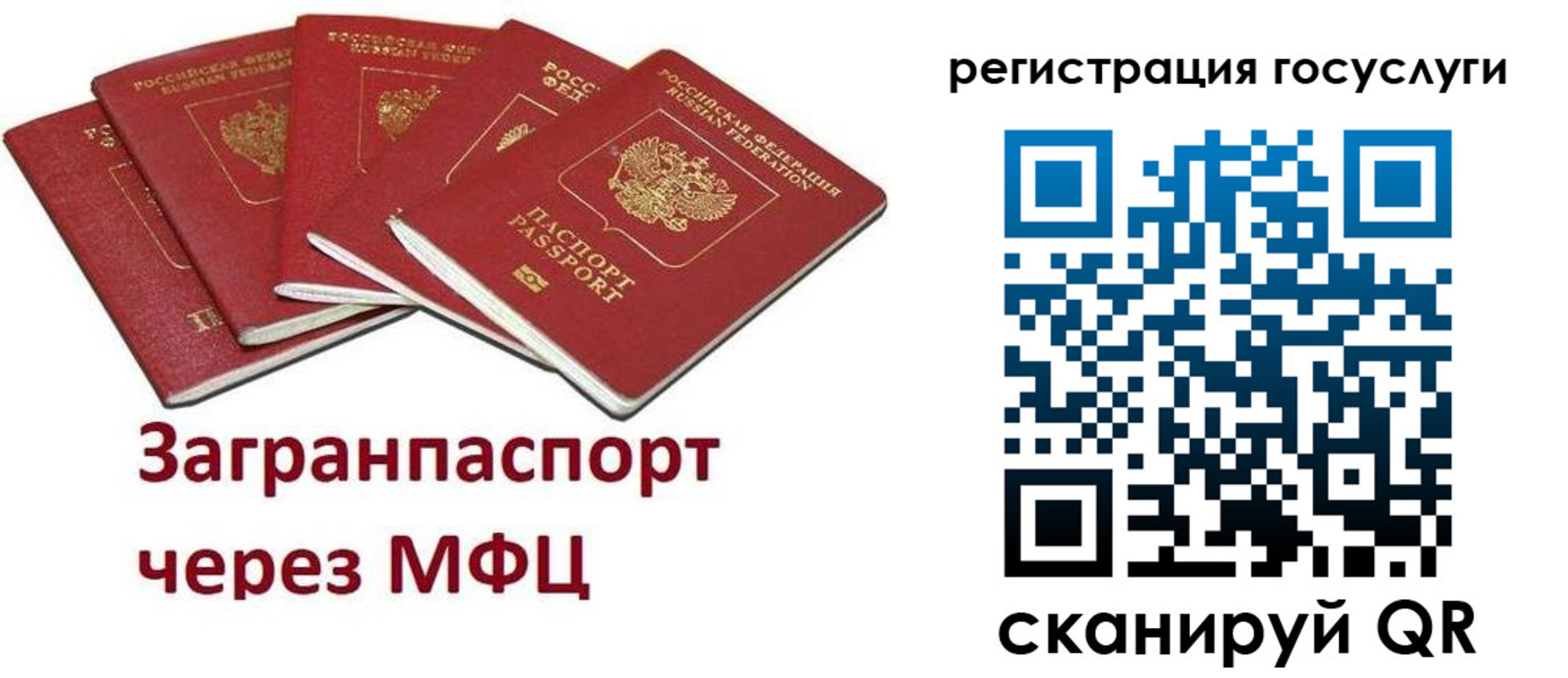 прописка 2025 в Николаевске-на-Амуре